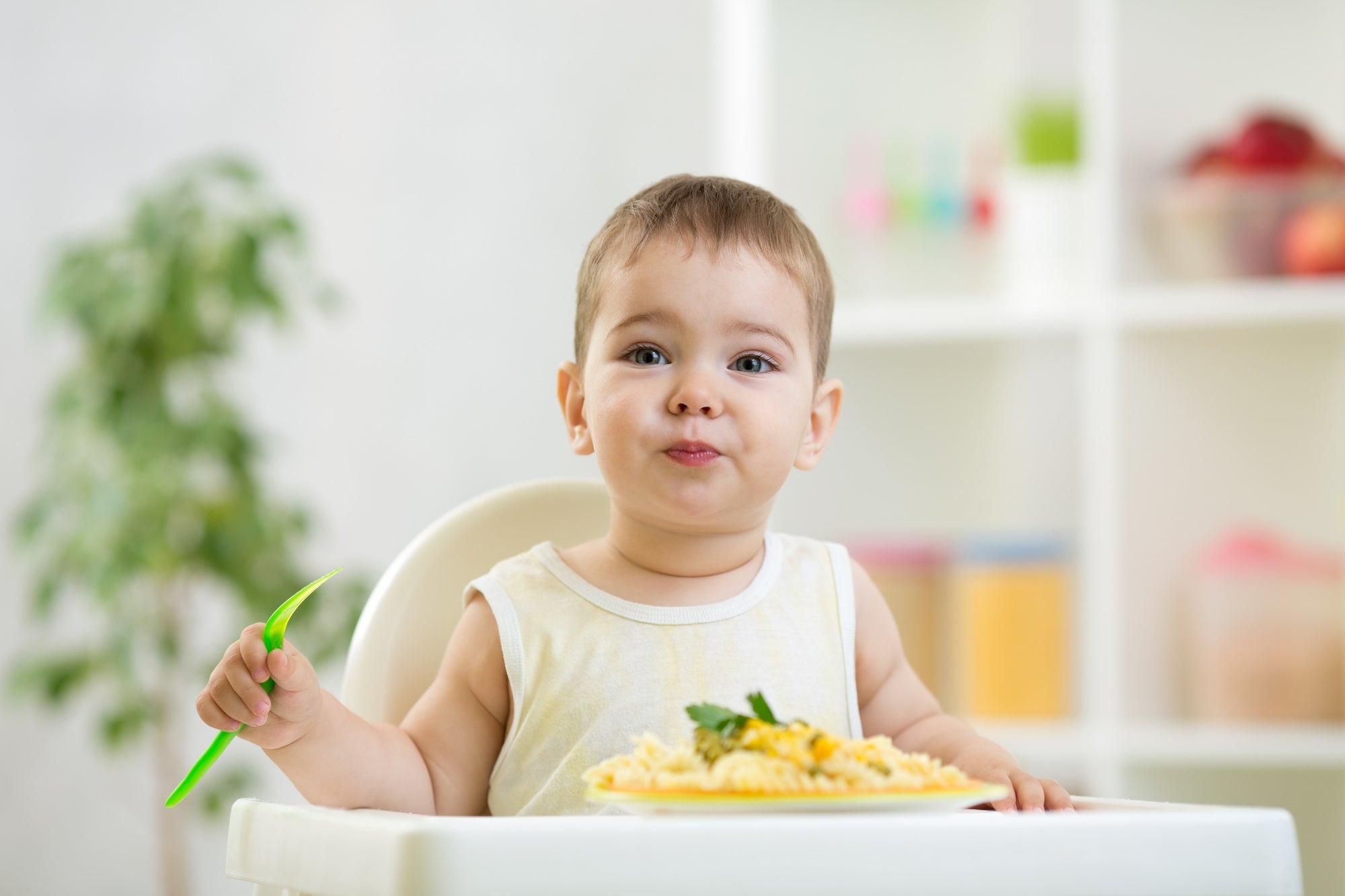 Iron-Rich Foods for Toddlers - Sprout Organic